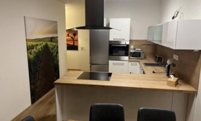 Mikulov Apartment | Appartment Mikulov gardens A1 - the view to romantic castle + gardens, NEW HOUSE