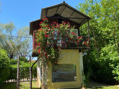 Szeged Apartment | Aqua Bella Apartman