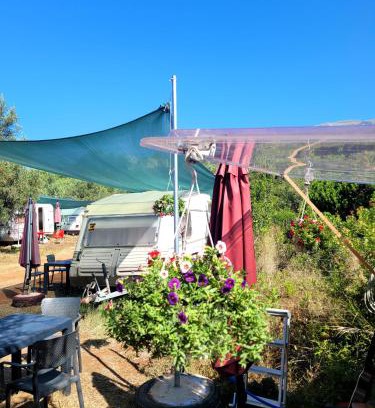 Jala Other | Aquariumi Jale Camping