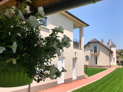 Vrdnik Apartment | Aria apartman