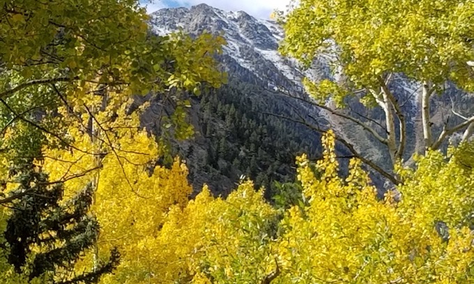 Nathrop Cabin | Aspen Grove with a cozy fireplace and a hot tub, come take the chill off!