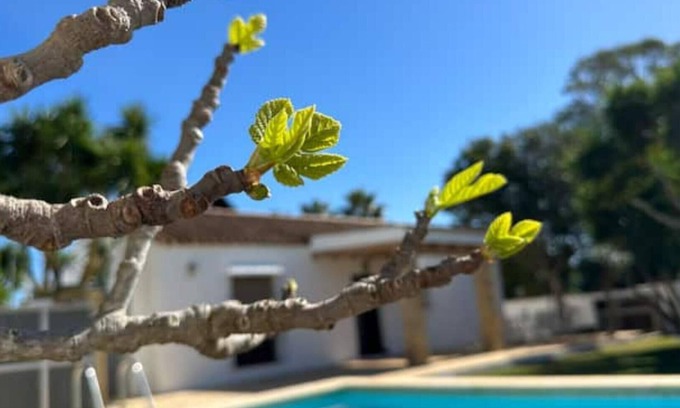 Conil de la Frontera Villa | Atlántico Sur 2 - 6 Personas & Familias