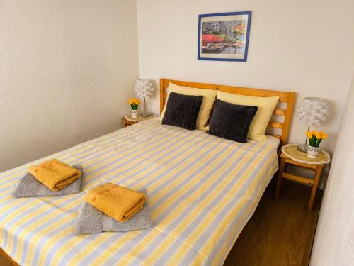 Vizivaros Apartment | Atlantis apartman