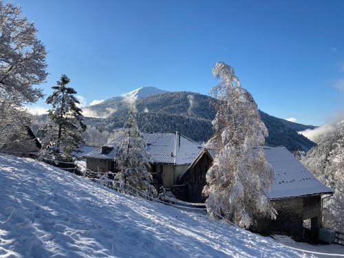 Auzet House | Au Diapason Chambres d'hôtes montagne