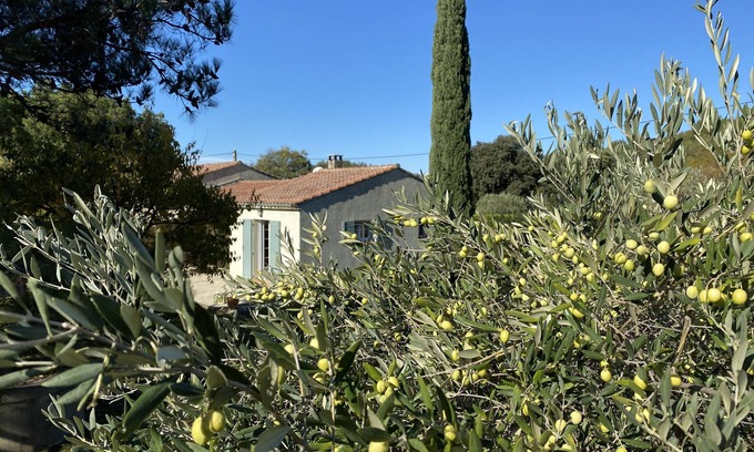 Cheval-Blanc House | Au jardin des Oliviers - Provencal villa in Luberon