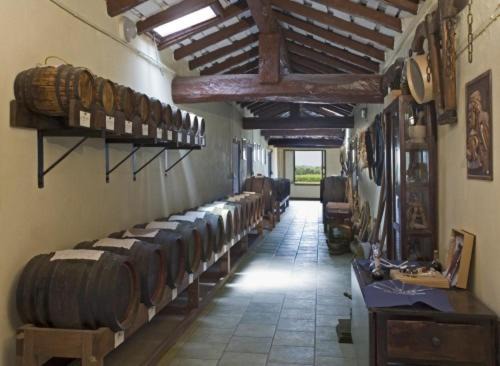 Crocetta-San Lazzaro-Modena Est House | B&B Acetaia Il Mulino Di Navicello