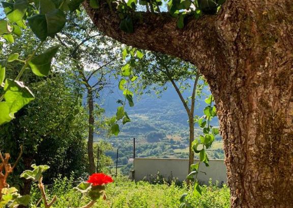 Castel di Sangro Bed & Breakfast | B&B Al San Francesco