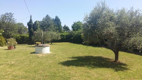 Quartiere Oltre Savio Bed & Breakfast | B&B Borgo del Priolo - Petfriendly