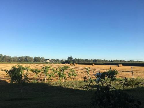 Roccabianca Bed & Breakfast | B&B DE CAROL