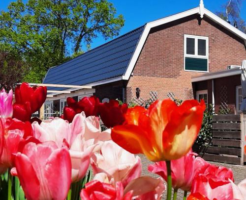 Sassenheim Bed & Breakfast | B&B De Hoffstal