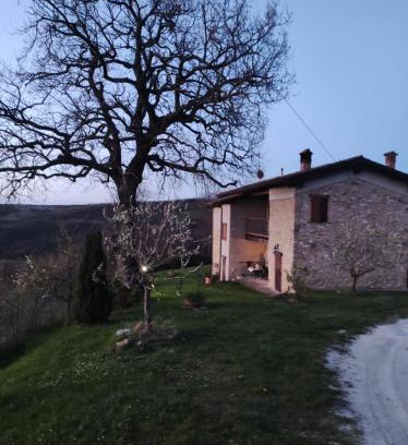 Zocca Bed & Breakfast | B&B del Fernè