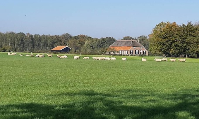 Vorden House | B&B Joostink in Vorden