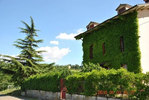 Fornovo di Taro Bed & Breakfast | B&B La vecchia quercia Home Restaurant