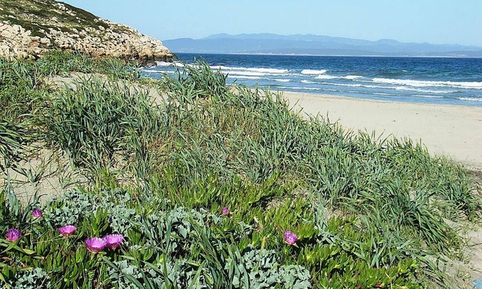 Sant'Antioco Bed & Breakfast | B&B Semaforo di Capo Sperone