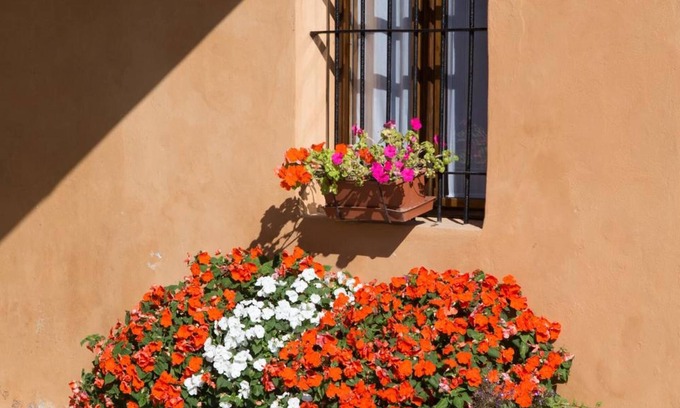 Cremona Bed & Breakfast | B&B Stradivari
