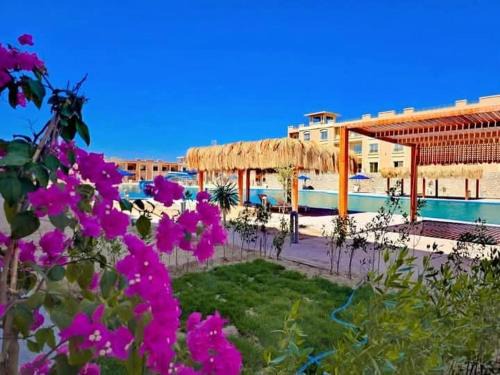 Sahl Hasheeh Apartment | Bay View Resort Sahl Hashesh