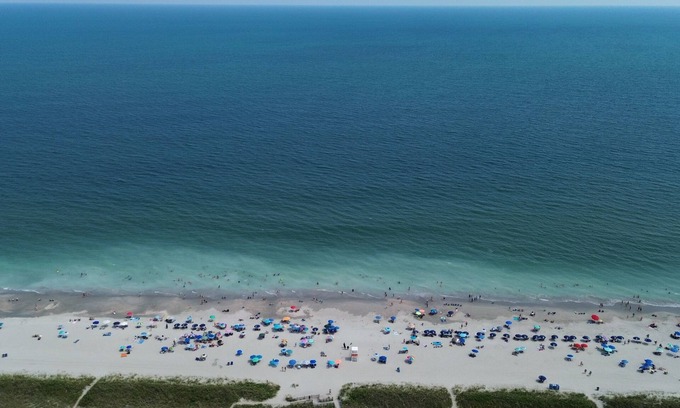 Windy Hill Apartment | Beach Love large1BR Suite, NEW POOL MAY 2024, pets ok, walk to beach, Parking