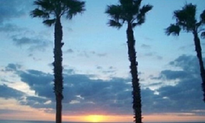 Longboat Key Condo | Beachcomber unit 501