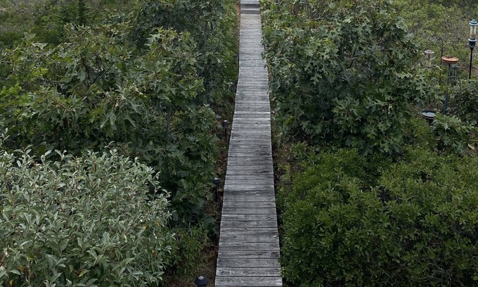 Napeague House | Beachfront home in Amagansett