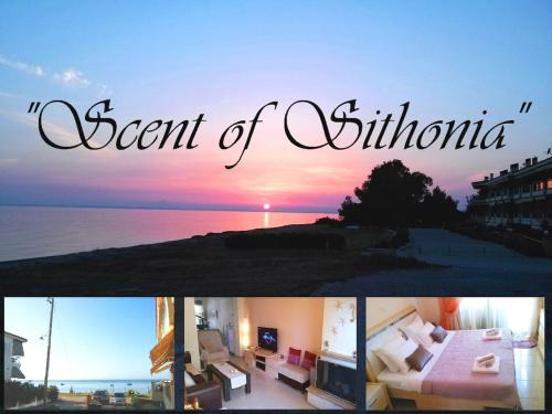 Gerakini House | Beachfront SCENT OF SITHONIA with pool, Gerakini, Halikidiki
