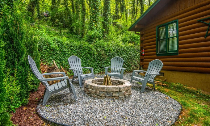 Waynesville Cabin | Bear's Den!