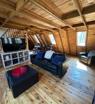 Blue Ridge Ski Chalet | Bearly Behavin