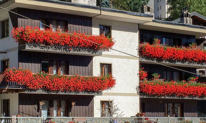 Valtournenche Apartment | Beautiful apartment for 4 guests with WIFI, TV, terrace and pets allowed