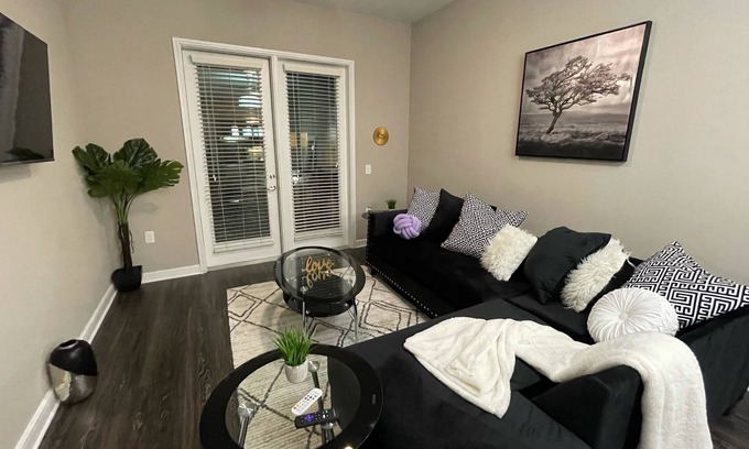 Addison Apartment | Beautiful luxury apartment with New furniture and great amenities.