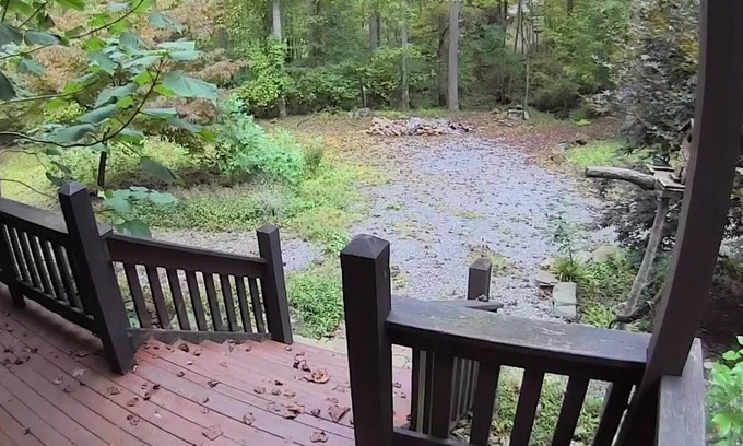 Bryson City House | Beautiful mountain home on 2 acres with a creek.