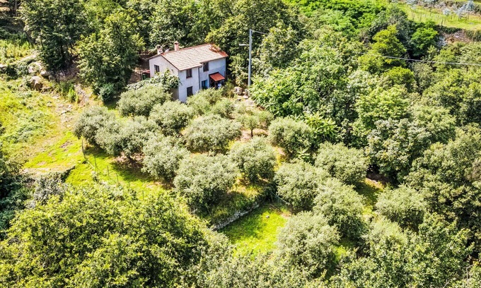 Rialto House | Beautiful private villa for 6 people with WIFI, TV, patio and pets allowed