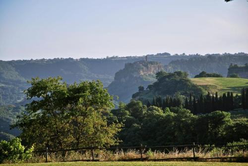 Lubriano Bed & Breakfast | Bed And Breakfast Dopo Il Settimo Cielo