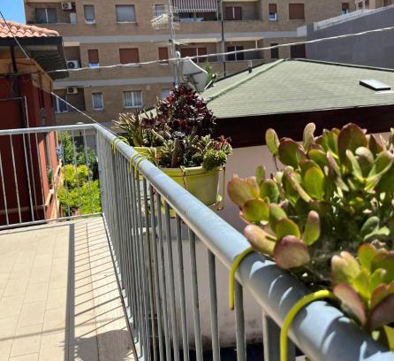 Pescara Bed & Breakfast | Bed and Breakfast Sofia