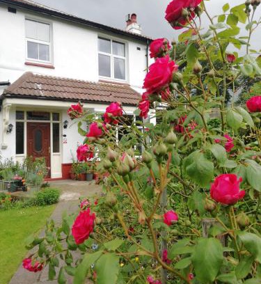 Briggswath Bed & Breakfast | Beechlands B & B
