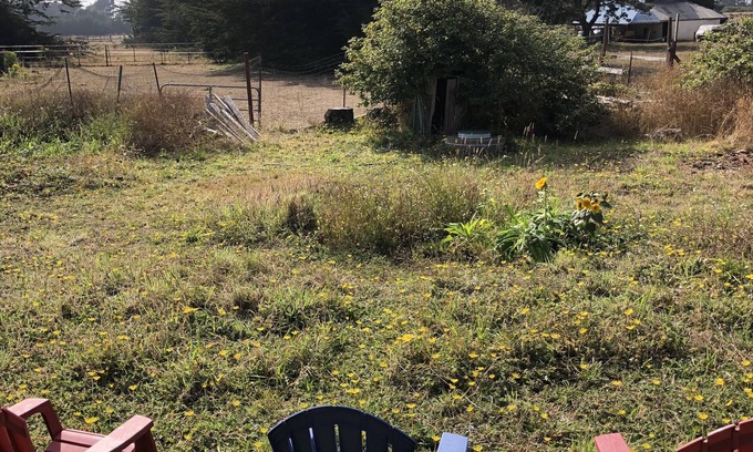 Fort Bragg Cottage | Beloved, Cozy Artist's Cottage One Mile From Sea