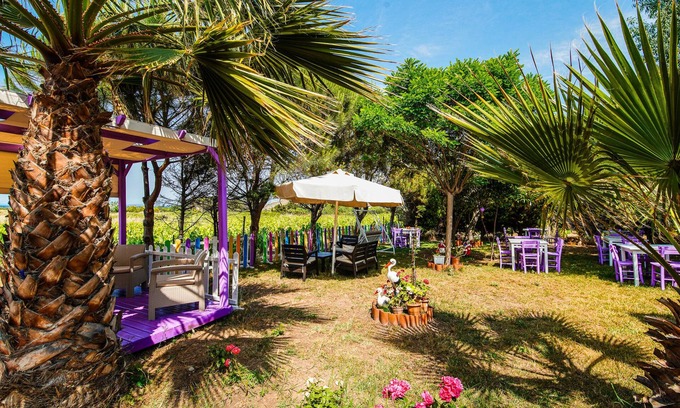 Bozcaada Hotel | Berrak Bağ Evi