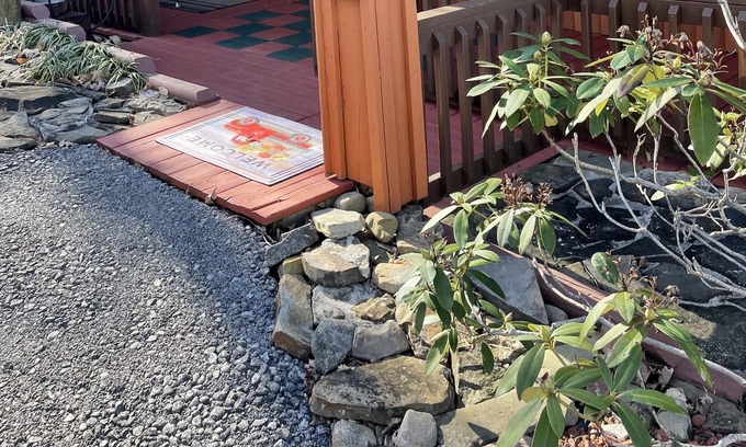 Blountville Cabin | Big bear cabin on the ridge