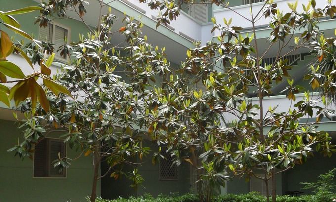Baia Verde Apartment | Bilocali Baia Verde