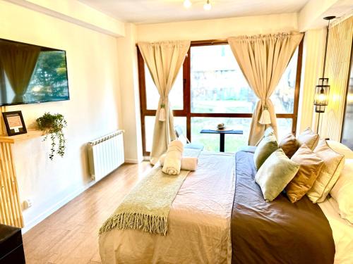 Centro Apartment | BlackBird Moreno1