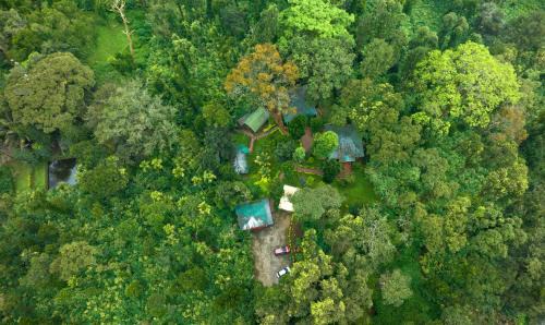 Pallivasal Hotel | Blue Bells Resort By Maat Hotels
