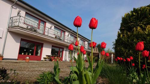 Kopperby Apartment | boardinghouse Kappeln by team SchleiFee