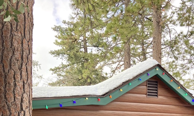 Pine Cove Apartment | Bob Ross Cabin