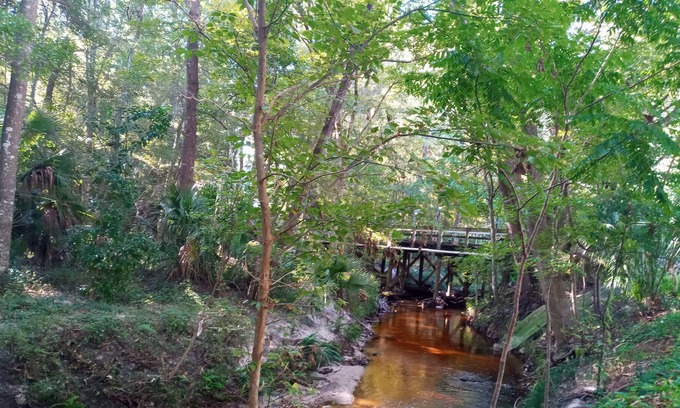 Gainesville Condo | Bobby Cat's condo, shared with owner, in forest setting w/creek, 1.5 mi. to UF!