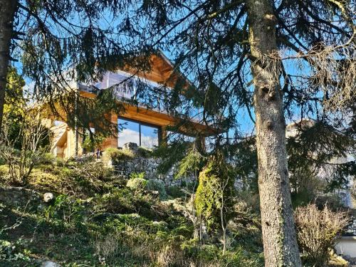 Annecy Ski Chalet | Bois des Alpes