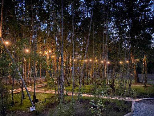 Pucon House | Boker Tov Pucón