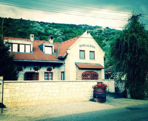Tokaj House | Borgaléria