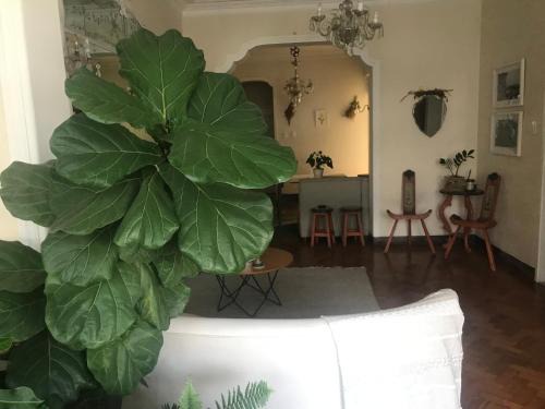 Laranjeiras Apartment | Botanic Apartamento Inteiro em Ipanema