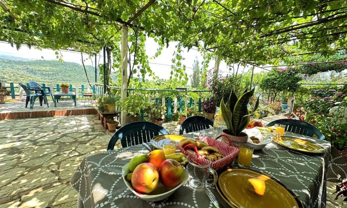Jala House | Boungainvillea