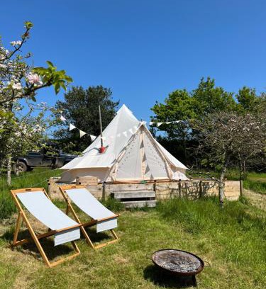 Ottery St Mary Other | Bowhayes Farm - Camping & Glamping - Bell Tents - Cider Orchard