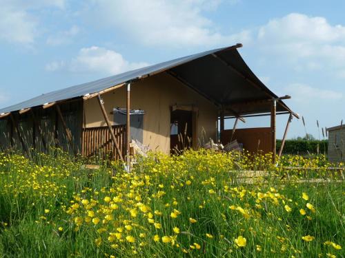 Glastonbury House | Braeburn Lodge