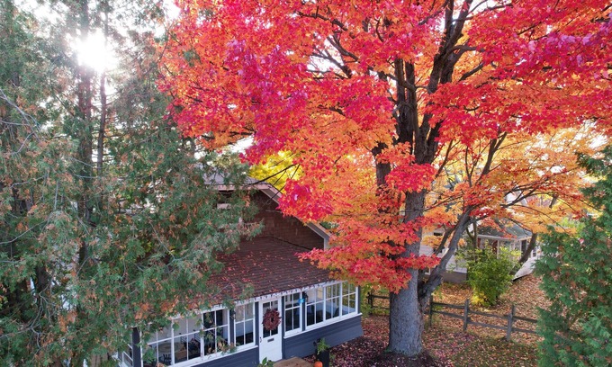 Port Carling House | Bright 3-Bedroom Home in Port Carling